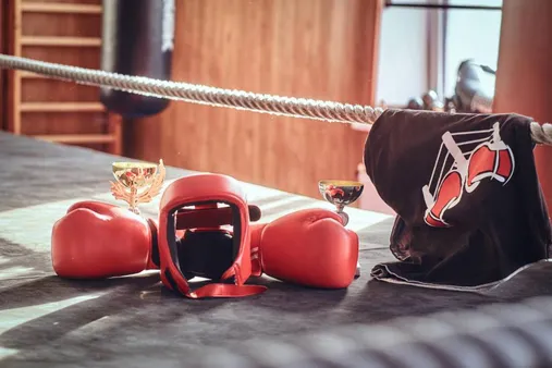 Unleash Your Inner Warrior: The Best Martial Arts Equipment and Gear for Absolute Champions